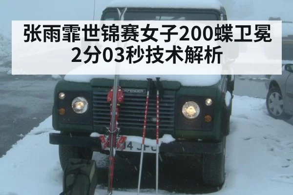 张雨霏世锦赛女子200蝶卫冕2分03秒技术解析