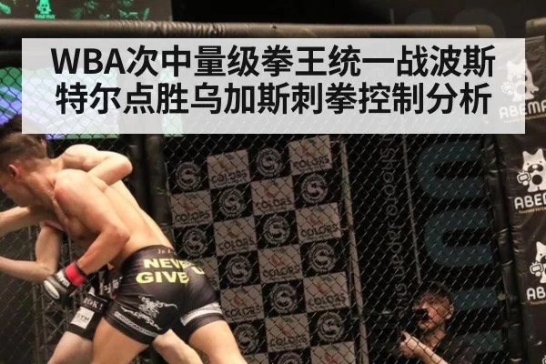 WBA次中量级拳王统一战波斯特尔点胜乌加斯刺拳控制分析